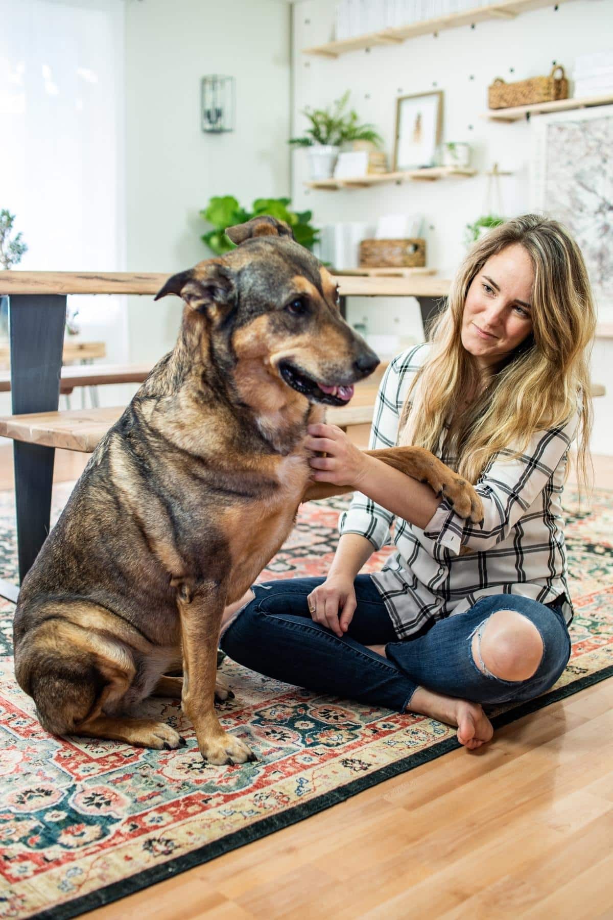 Woman petting a large dog sitting on the floor.