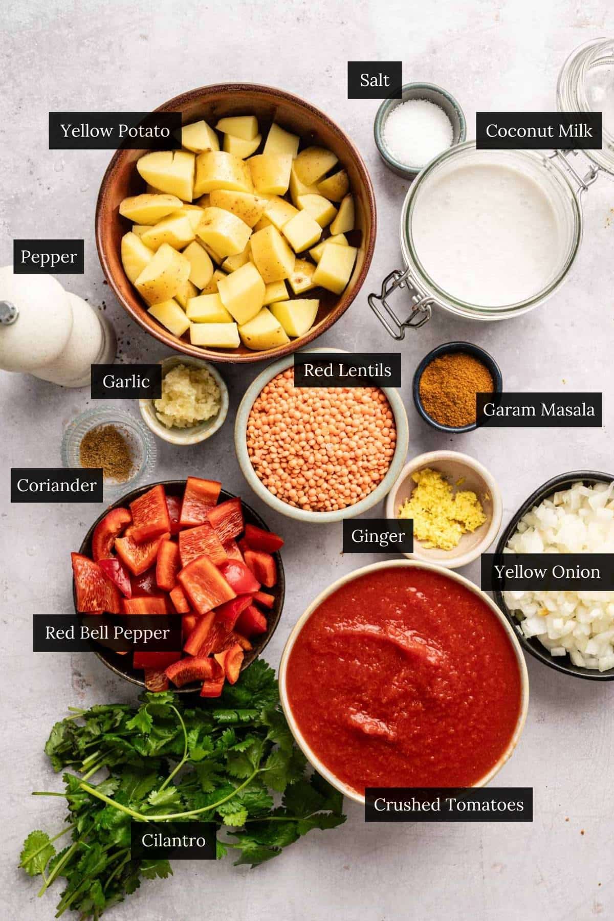 Ingredients for potato and red lentil vegan tikka masala on a counter with each ingredient labeled.