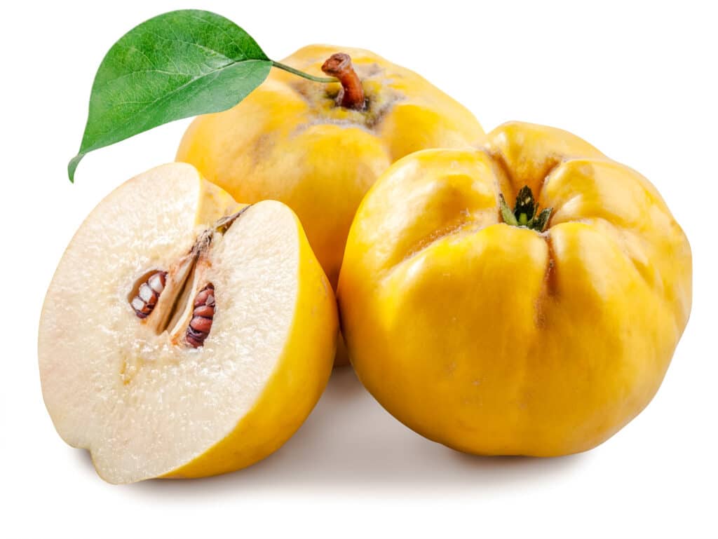 Two and a half qunice fruit with a green leaf.