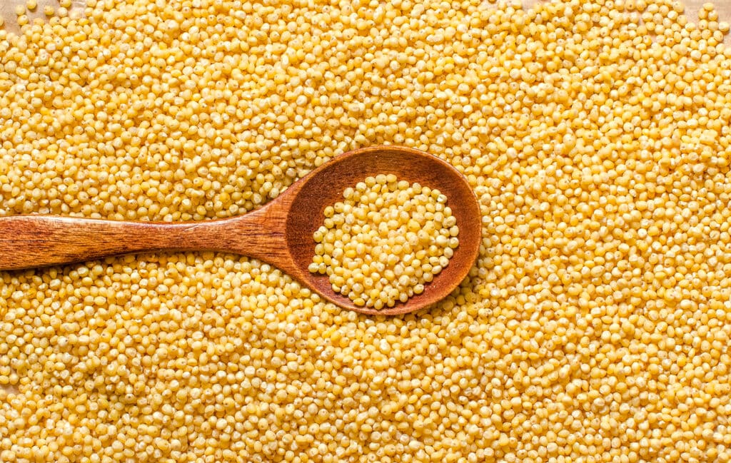 Wooden spoon overflowing with millet.