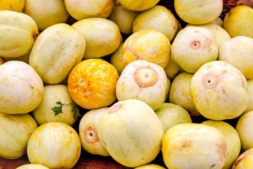 Large surface covered in small round yellow cucumbers. 