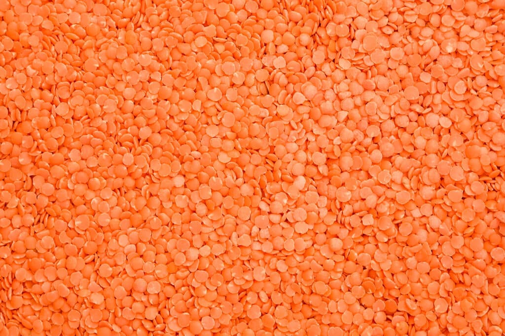 Vibrant red lentils covering the entire surface.