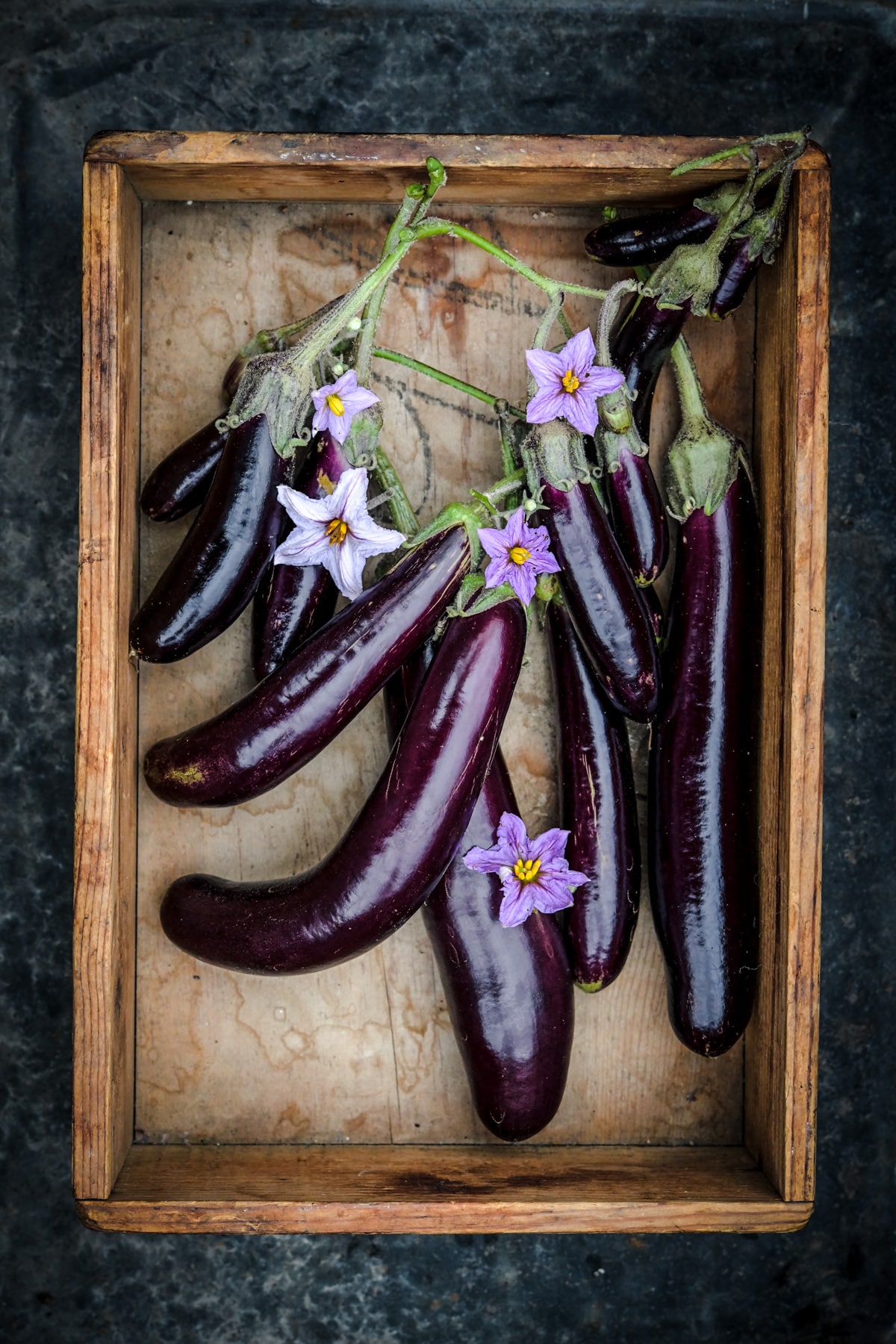 Small dark purple to black little fingers eggplants in a wooden box tray.