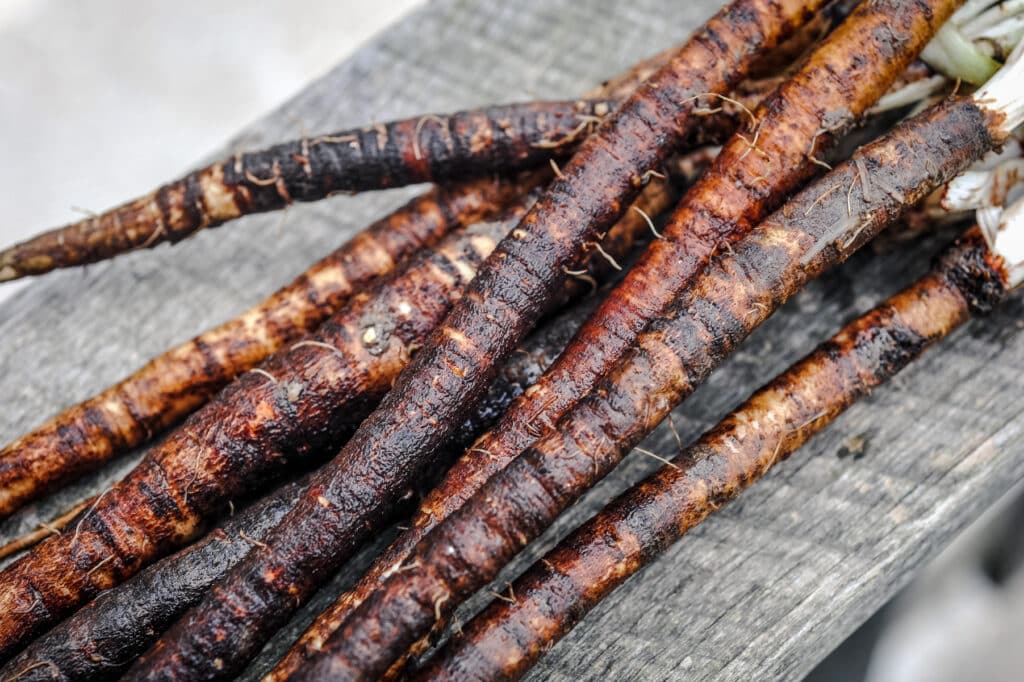Salsify Duplex Russian Giant root vegetable on a weathered wood surface.