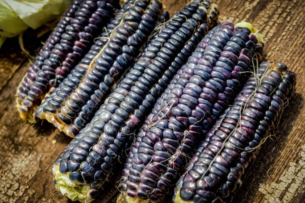 Japanese black sticky corn on the cobs.