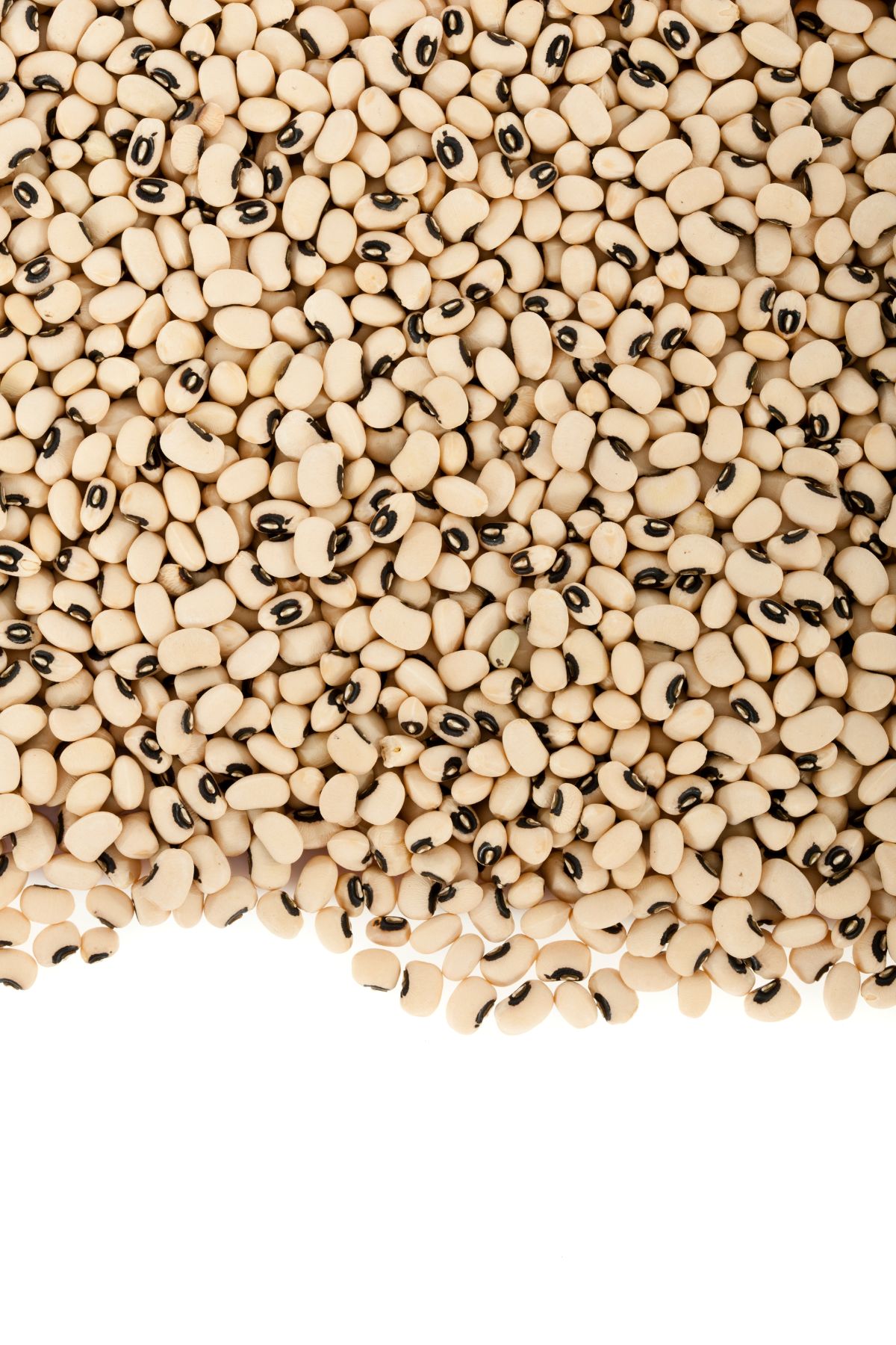 Black eyed peas covered a white countertop.