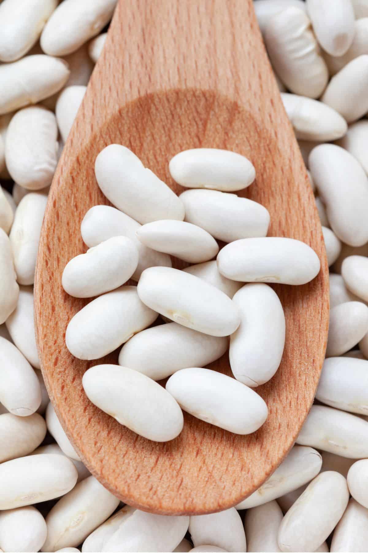 Bright white beans in a wooden spoon.