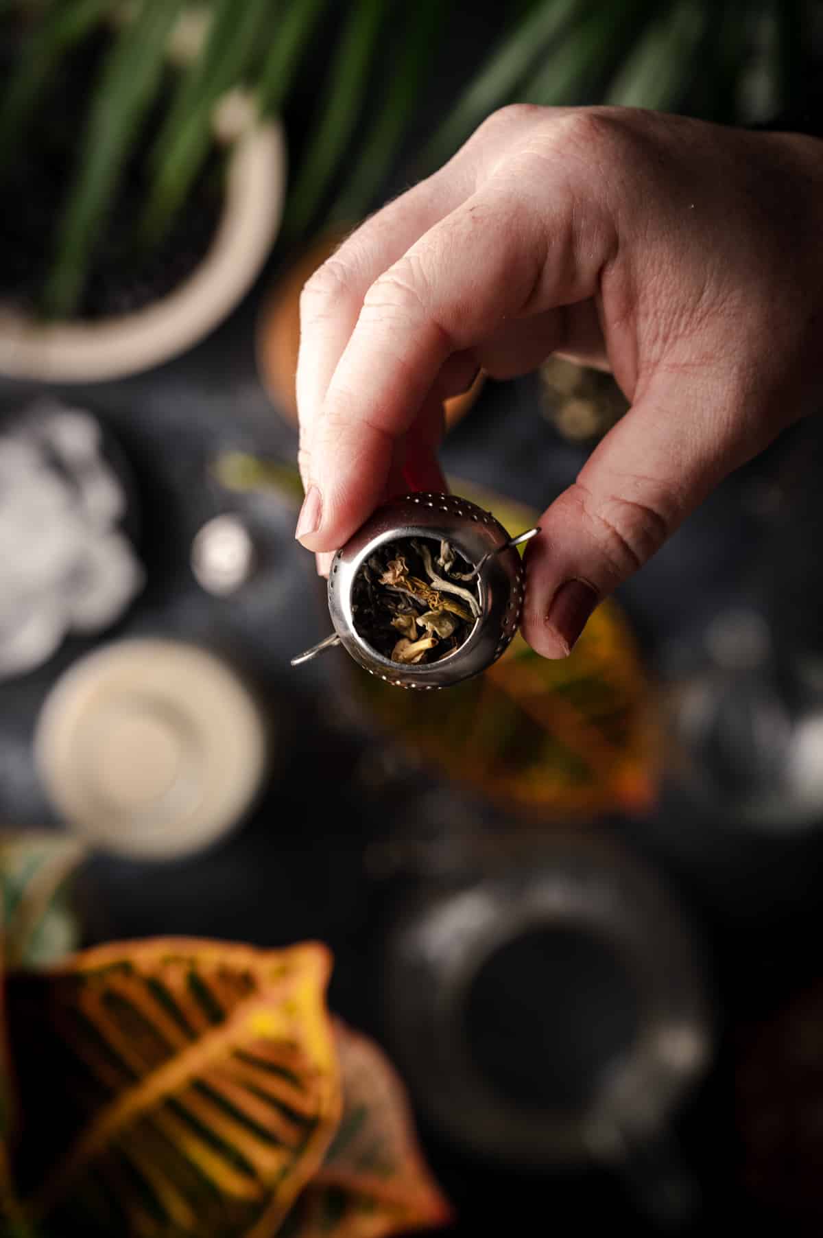 Jasmine green tea in a loose leaf tea infuser being held by a woman.