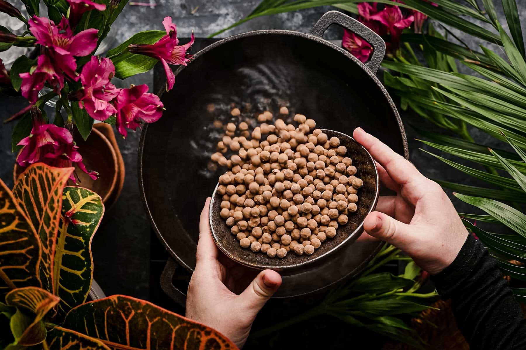 Adding tapioca pearls to a cast iron pot filled with water for cooking.