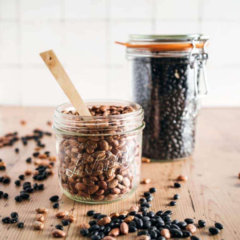 Black Beans vs Pinto Beans: What Is The Difference?