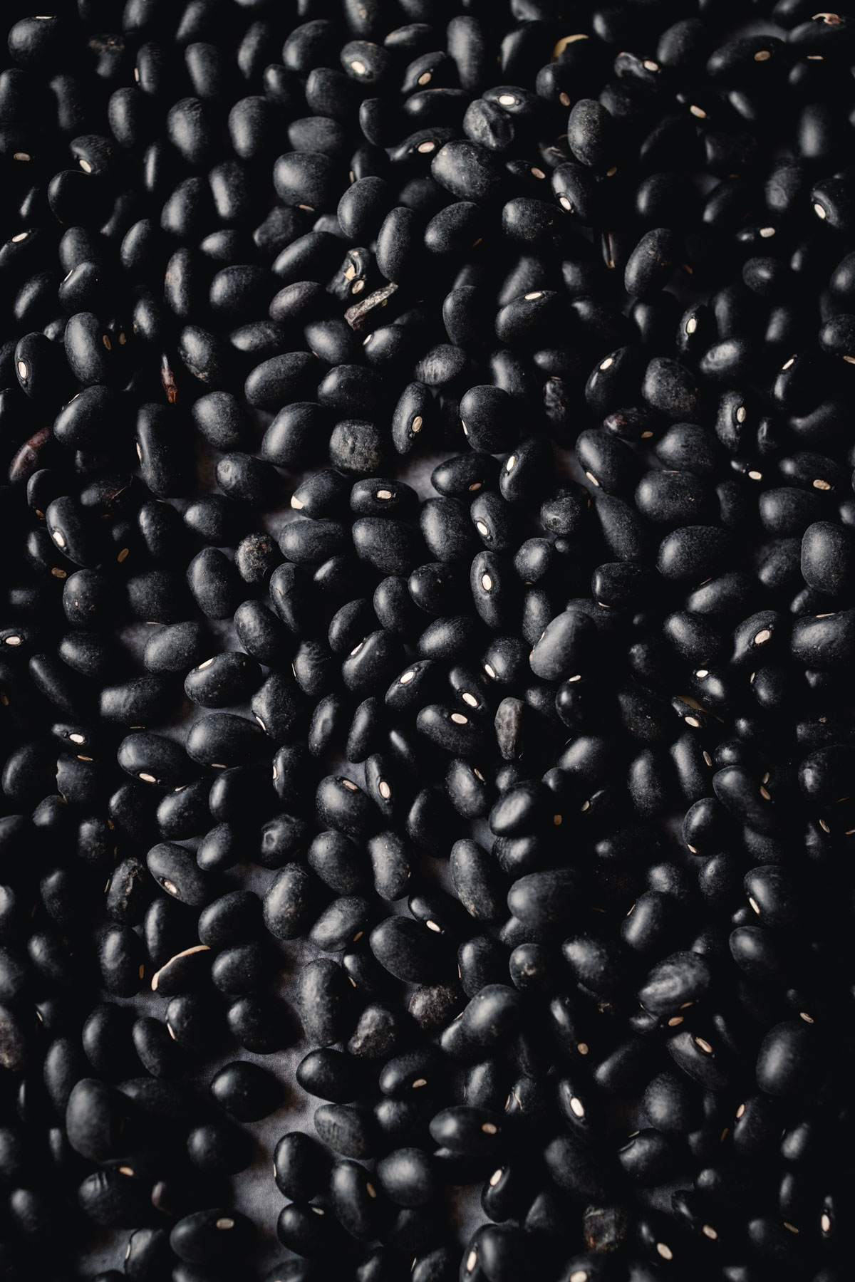 Close-up image of a large quantity of black beans.