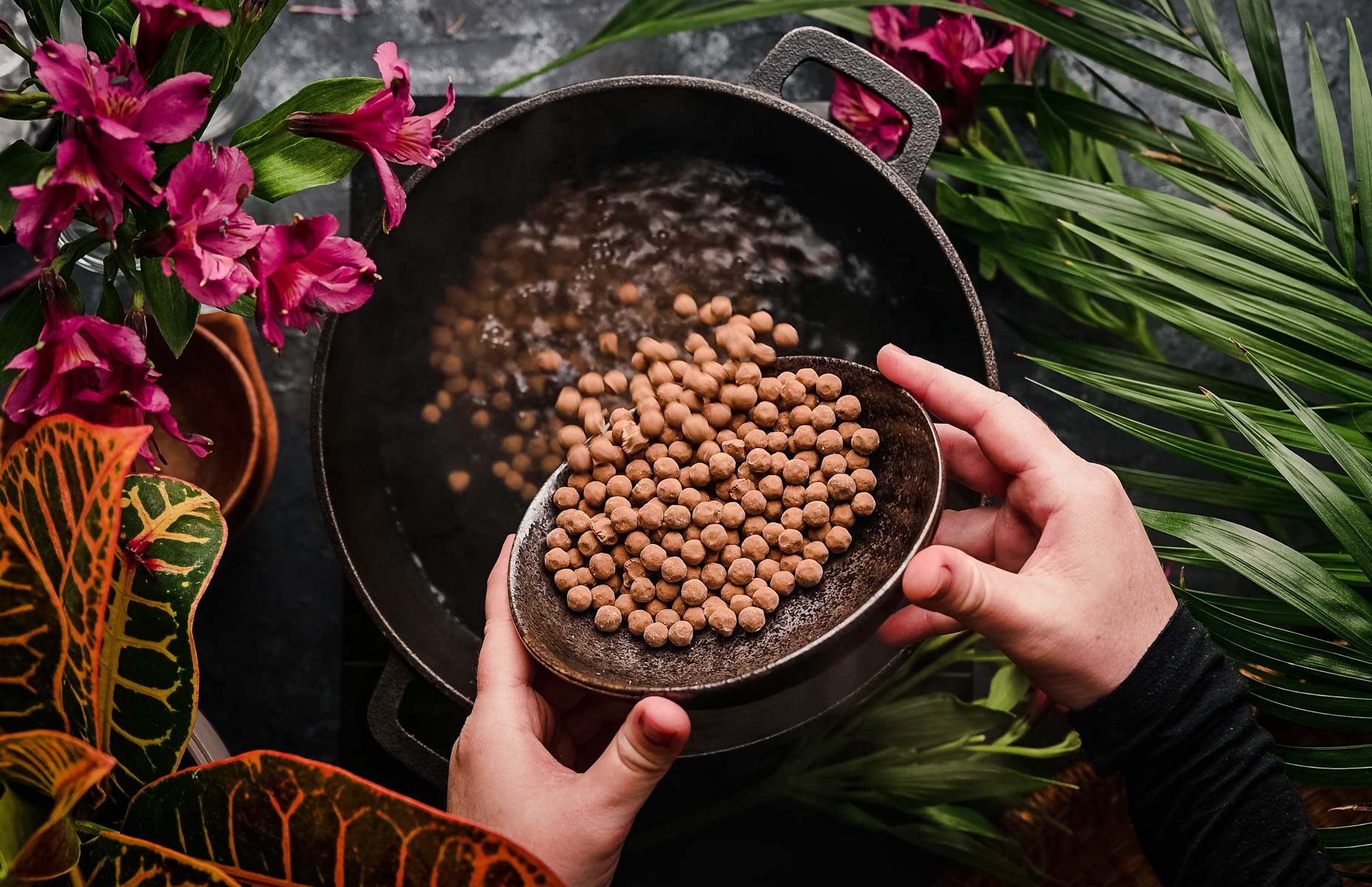 A person pours dried chickpeas from a bowl into a pot of boiling water, surrounded by tropical plants and pink flowers.