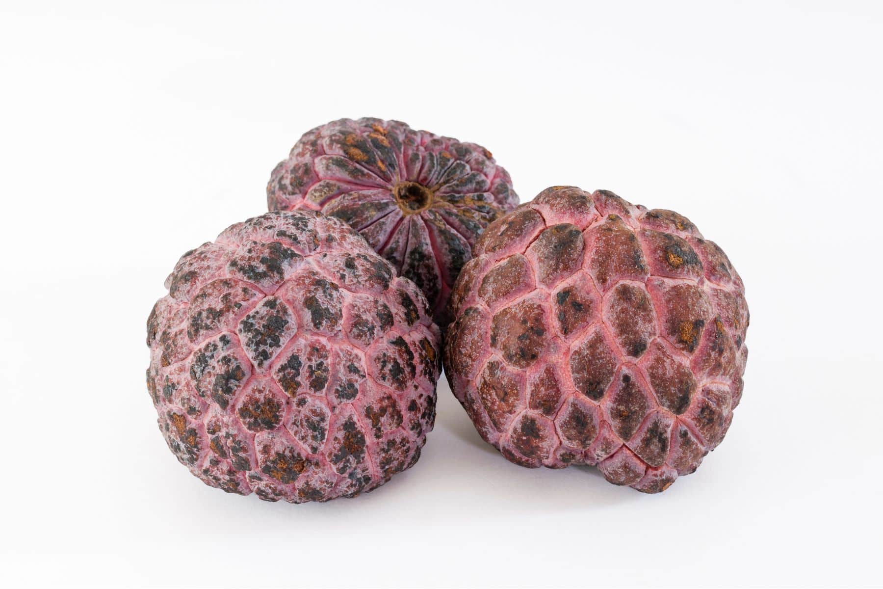 Three purple cherimoyas with textured, scaly skin on a white background.