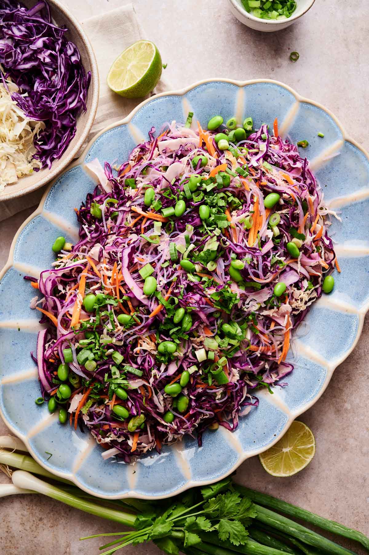 Deconstructed spring roll mixed together on a serving plate with green onions and edamame on top.